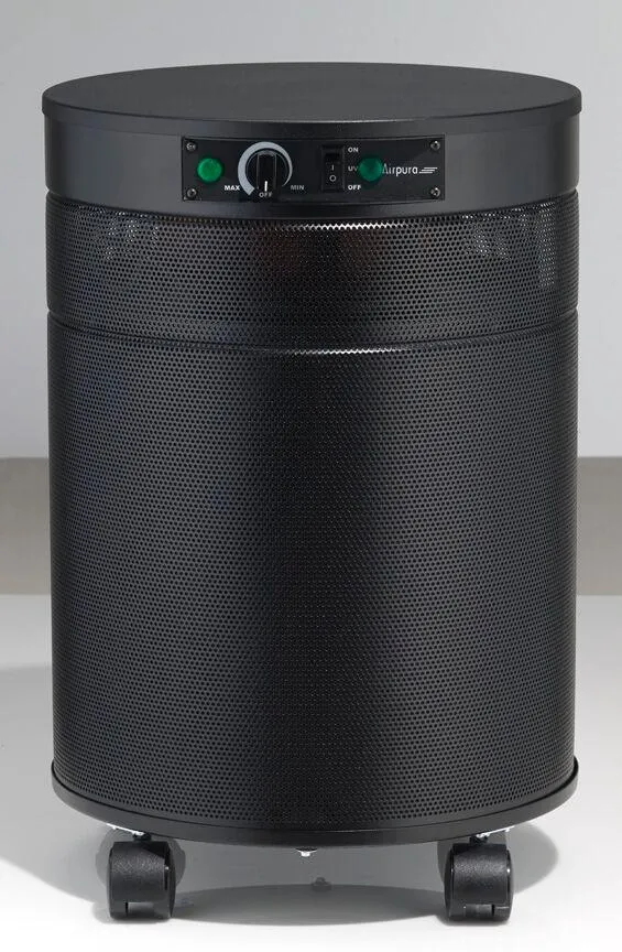 Airpura P614 Air Purifier