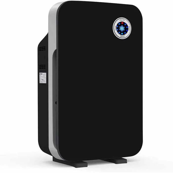 Hepa Filter Air Purifiers for Allergies & Dust