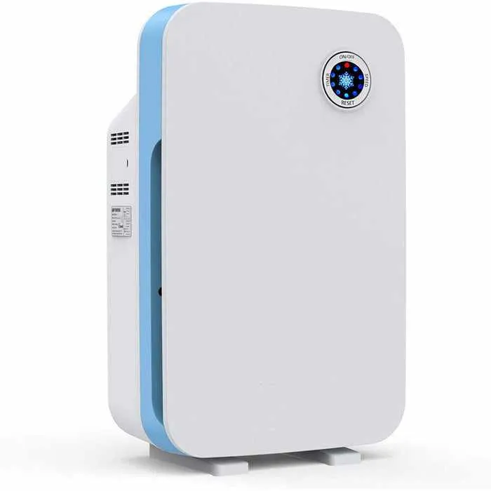 Hepa Filter Air Purifiers for Allergies & Dust