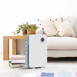 Hepa Filter Air Purifiers for Allergies & Dust