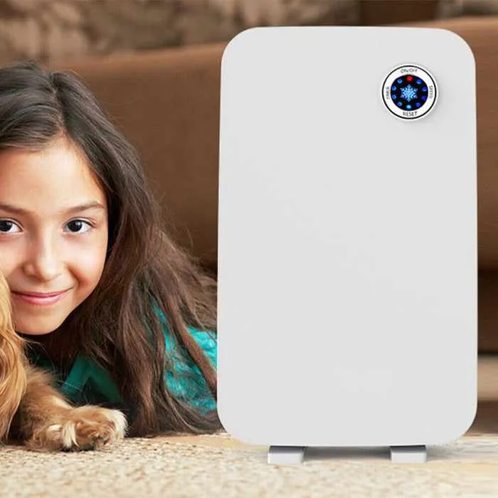 Hepa Filter Air Purifiers for Allergies & Dust