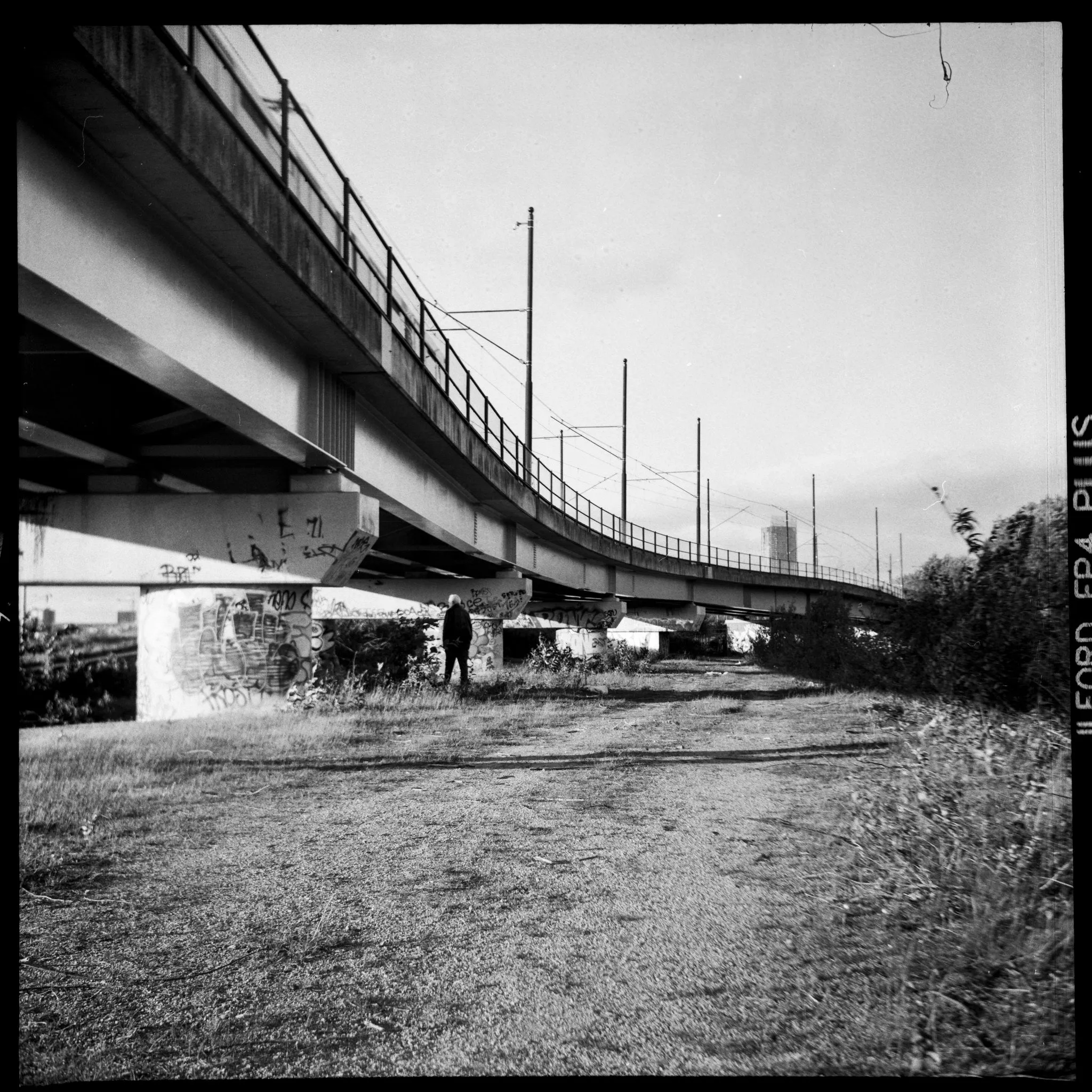Lomo :: Lubitel 166B