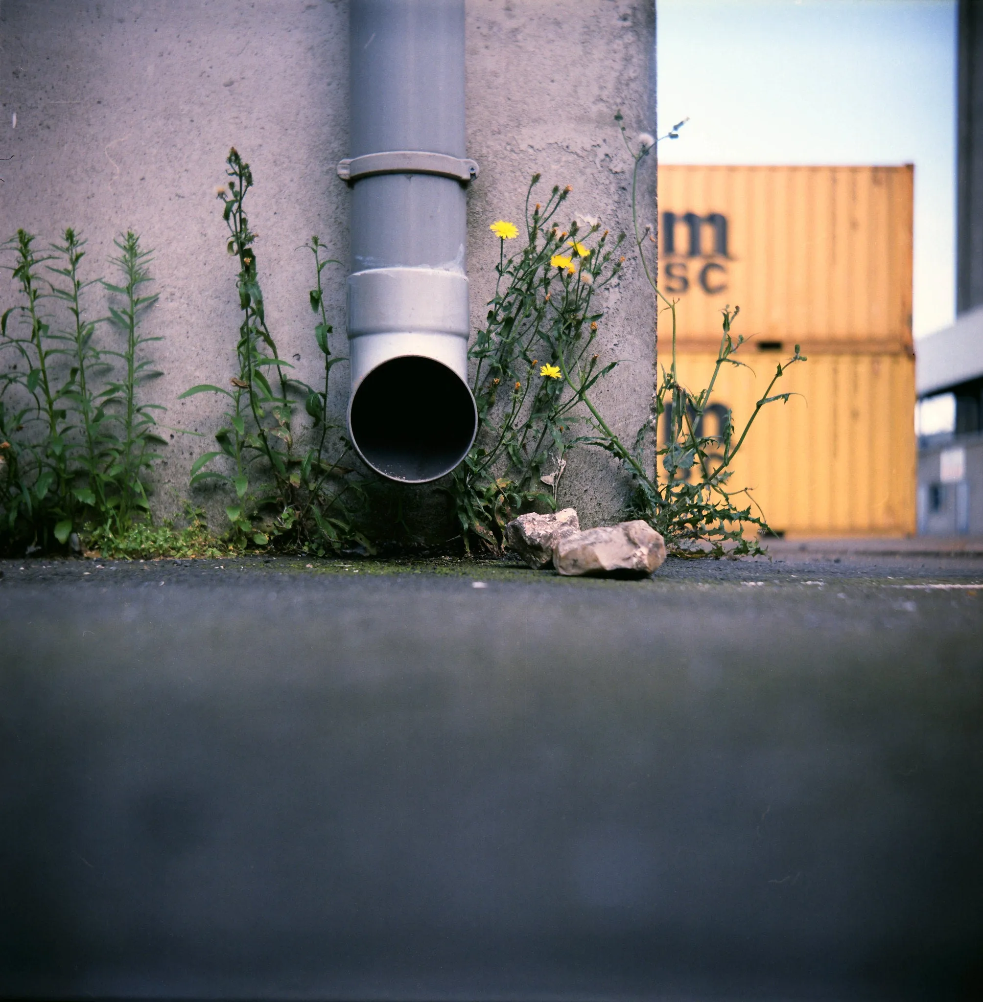 Lomo :: Lubitel 166B
