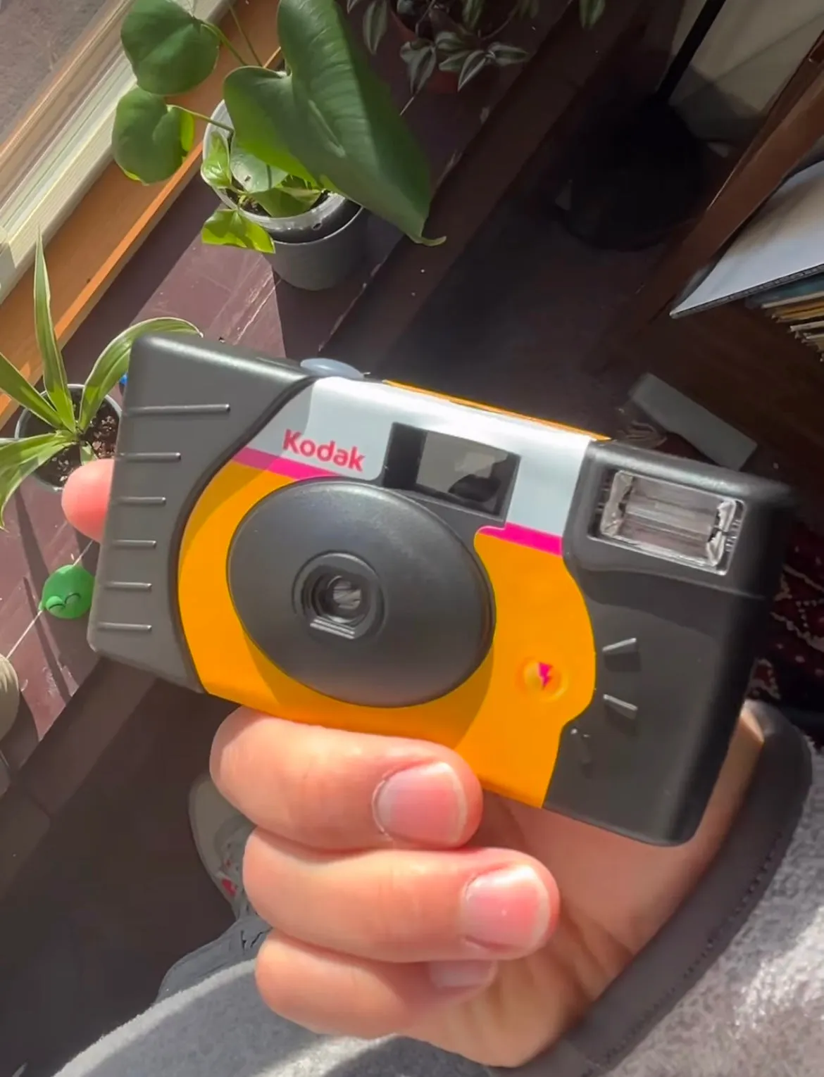 Party Film Cameras