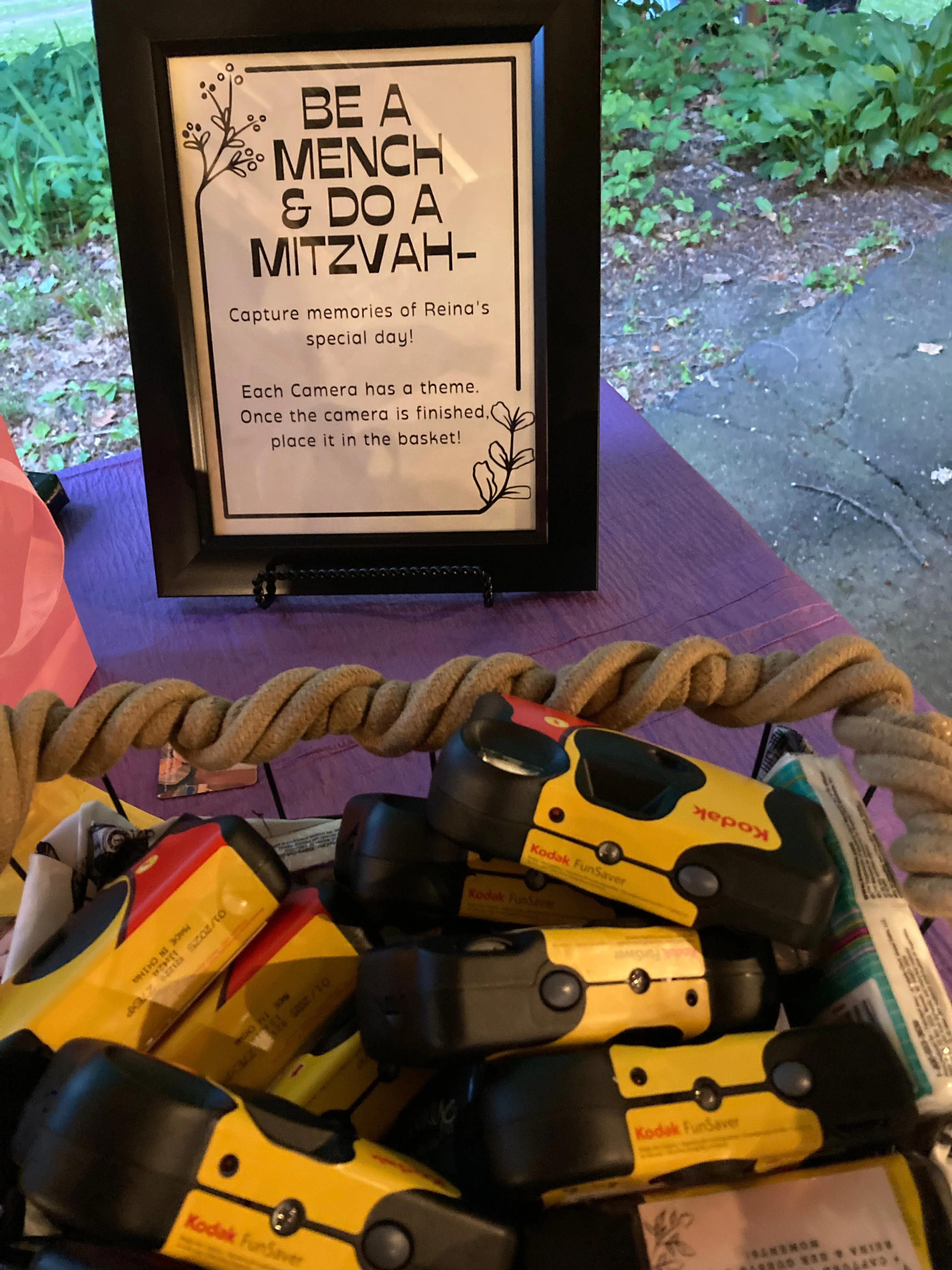 Party Film Cameras